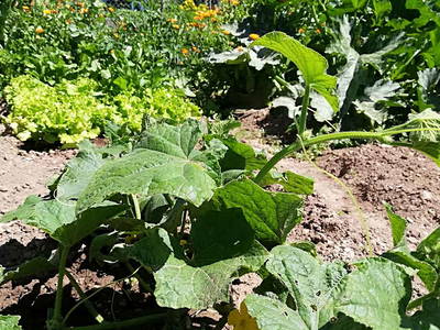 Bild 34 aus  Ansitz Grustdorf