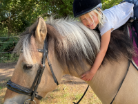 Bild 11 aus  Hof Schlünzen