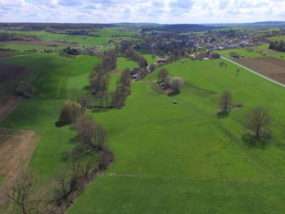 Bild 3 aus  Ferienwohnung Pferdezucht Bickenalb