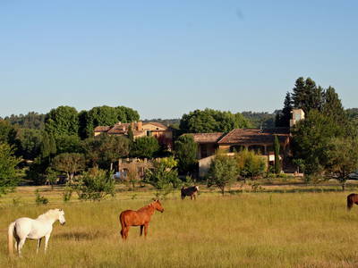 Bild 26 aus  Une Campagne en Provence