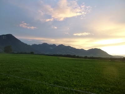 Bild 34 aus  Zacherlhof