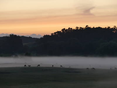 Bild 18 aus  Bio-Wildhof in Alleinlage mit  Boot