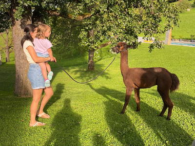 Bild 38 aus  Taxengut