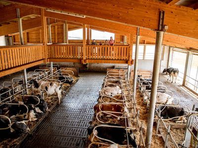 Bild 9 aus  Wieserhof