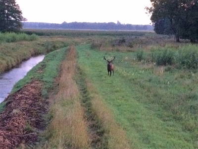 Bild 11 aus  Gut Burghof