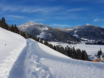 Bild 15 aus  Alpenrösle Ferienwohnungen