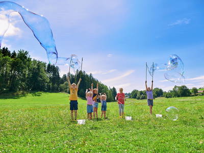 Bild 20 aus  LandSelection Hanznhof