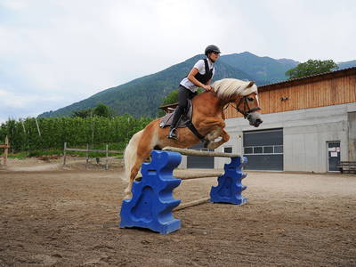 Bild 10 aus  Siglgut