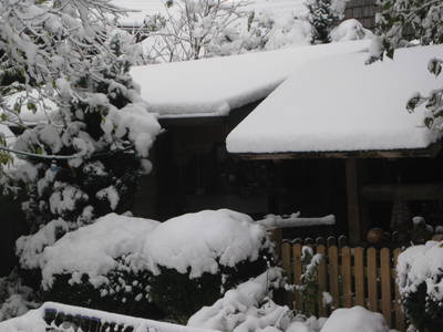 Winter von seiner schönsten Seite
