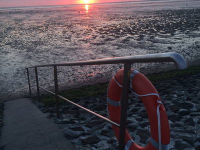 Bild 29 aus  Hof hinterm Deich