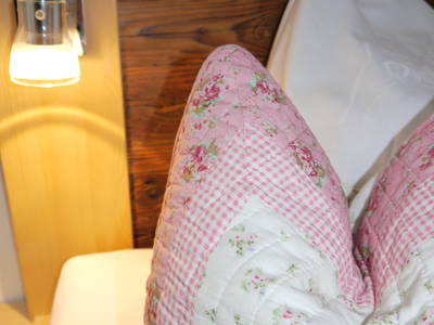 Bild 7 aus  Der Adlerhof