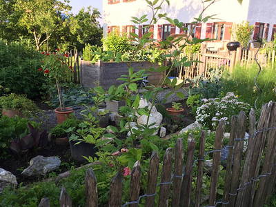 Bild 9 aus  Bauniglerhof