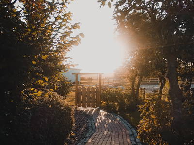 Sonnenaufgang im Herbst