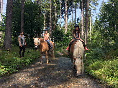 Bild 3 aus  Gästehaus Nassfeld - kleines und persönliches Landhaus