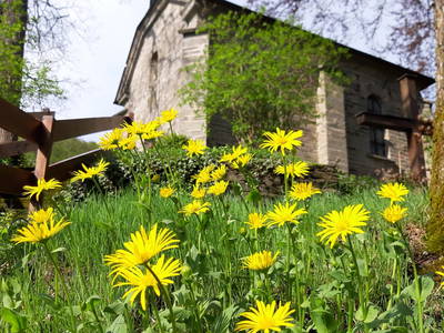 Bild 23 aus  Gut Frielinghausen