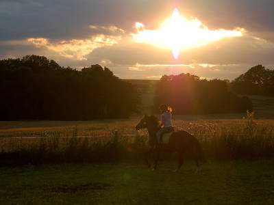 Bild 32 aus  Hof Kaltofen