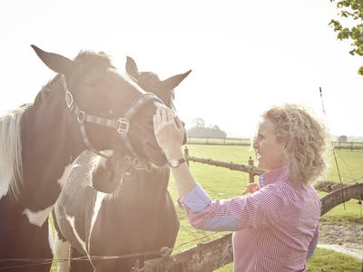 Bild 36 aus  LandSelection Traberhof
