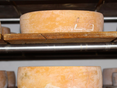 Bild 23 aus  Moserhof