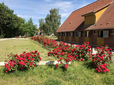 Bild 24 aus  Pferdehof Ruhnau FN