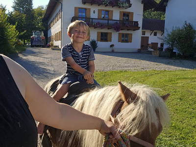 Bild 14 aus  Fürstenberger Hof