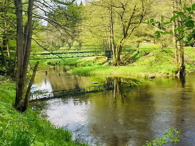 Bild 11 aus  Ferienhof & Campingplatz Schweinmühle
