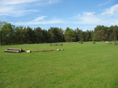 Bild 19 aus  Ferienhof Klaucke