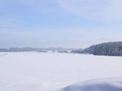 Bild 33 aus  Marksteinhof