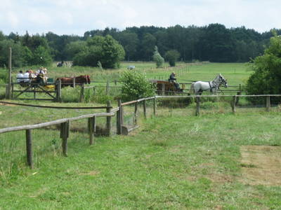 Bild 15 aus  Harms Hoff