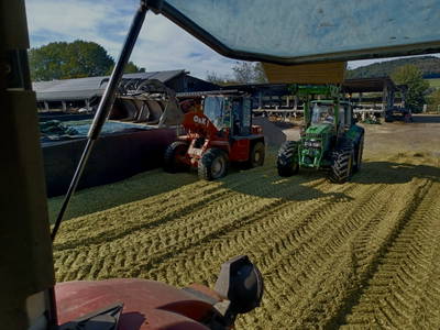 Bild 49 aus  Marienhof