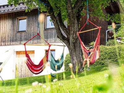 Bild 10 aus  Hornergut