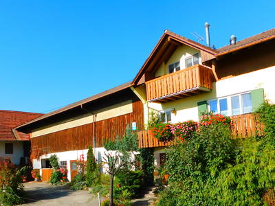 Bild 7 aus  Franzen Hof  Koch