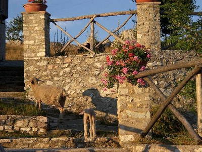 Bild 72 aus  Agriturismo Bartoli