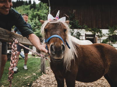 Bild 18 aus  LandSelection Proneben Gut