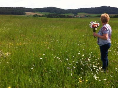Unsere Blumenwiesen am Adlitzer Berg/ in Natur & Klimaschutzmaßnahmen