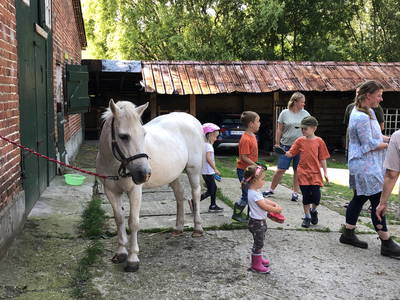 Bild 89 aus  Ostsee Ferienhof Kluvetasch