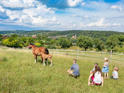 wir beobachten das Fohlen mit seiner Mutter