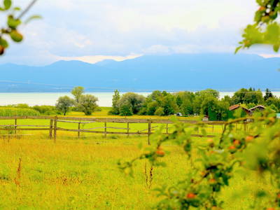 Bild 10 aus  Keilhof