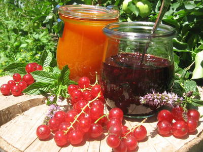 Bild 11 aus  Umsinder Hof