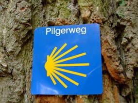 Bild 53 aus  LandSelection Drewes-Hof