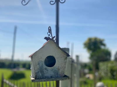 Bild 15 aus  Ferienwohnung am Conradhof