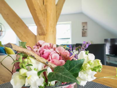 Bild 29 aus  Ferienwohnungen Harriersand direkt an der Weser