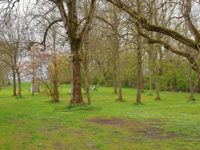 Bild 10 aus  Ferienhof Maaß