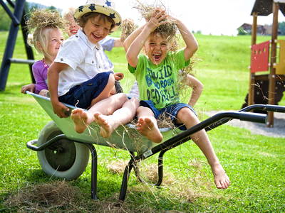 Bild 3 aus  Ferienhotel Starennest