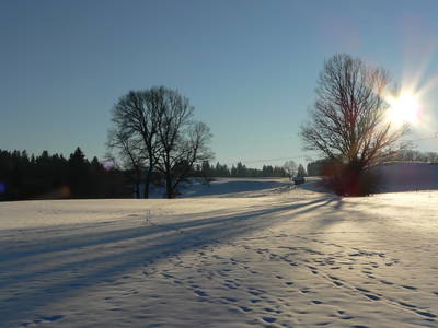 Bild 22 aus  Stroblhof