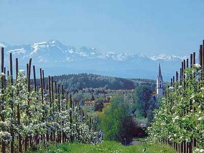 Die Ortschaft Oberteuringen