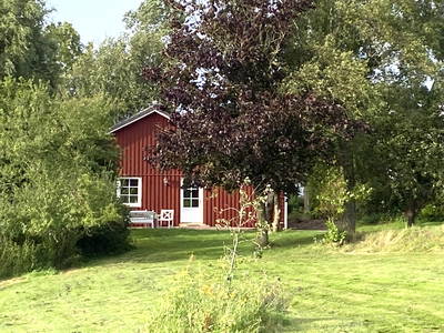 Bild 47 aus  Ferienhof Messer  Bauernhofurlaub  Ostseenähe  Ponys