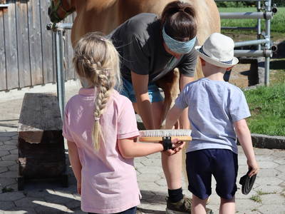 Bild 8 aus  Fuchsbauernhof