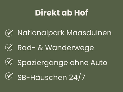 Bild 13 aus  Heeser Hof – Urlaub im Grünen