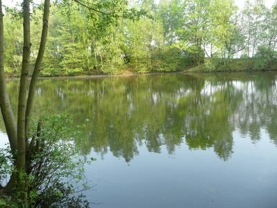 Bild 9 aus  Gutshof Wöbbel