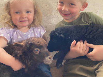 Bild 26 aus  Berghotel Presslauer